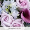 Cool Tones